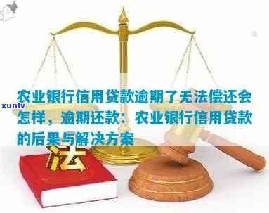 黔农云逾期还款后，再次借款的可行性及资讯解析