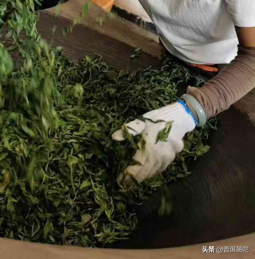 茶农说茶这是普洱茶的低杀青吗