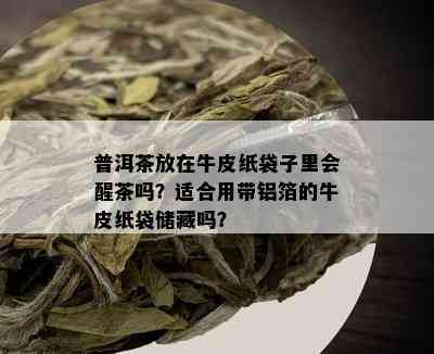 普洱茶可以用牛皮纸袋(带铝箔的)藏吗？