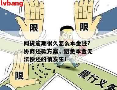 '先偿还逾期利息还是本金？法律规定及处理方式全面解析'