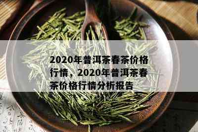 普洱茶2020年春茶价格表汇总