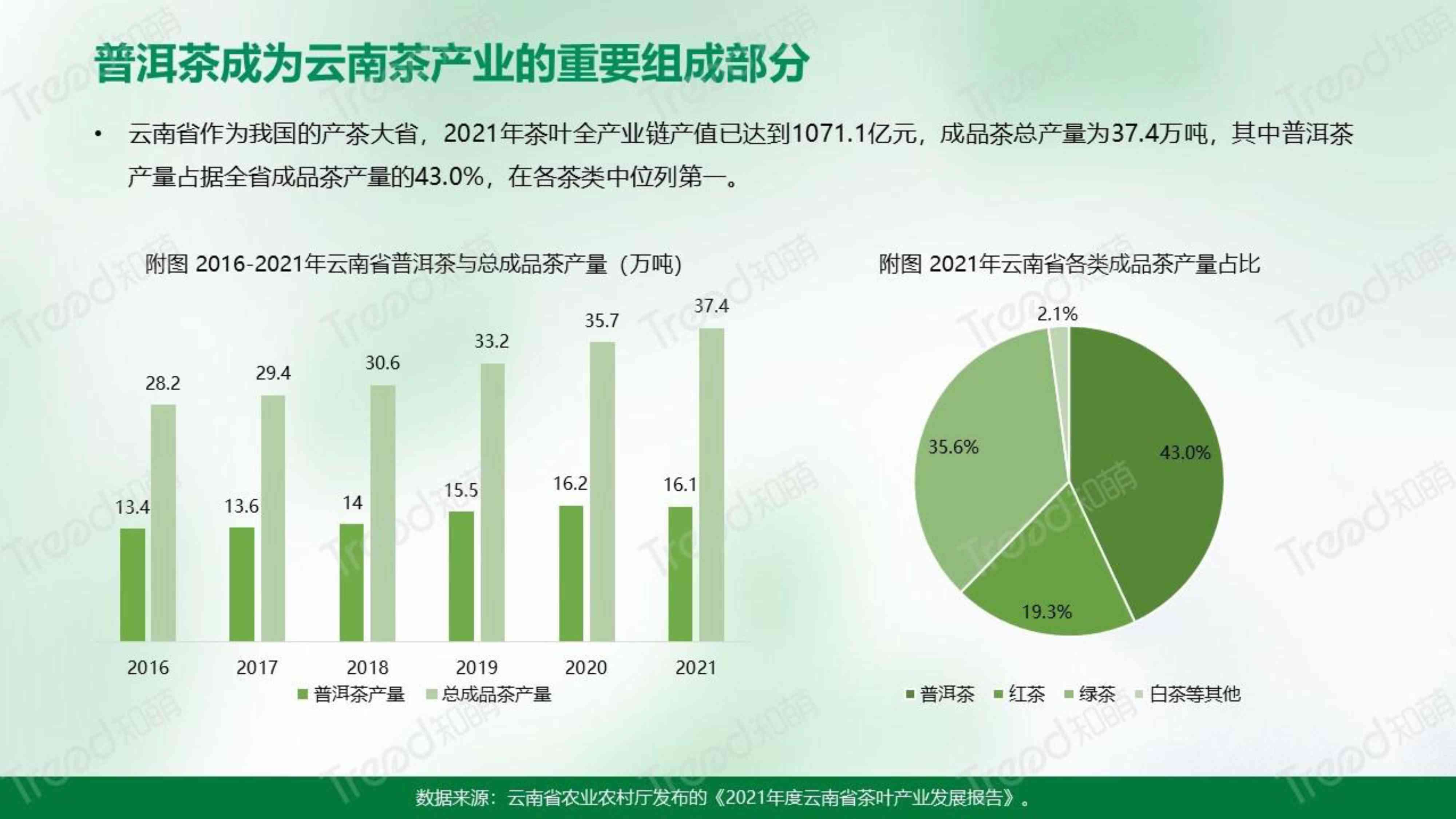 2023年云南七子普洱茶价格走势分析：购买时应考虑哪些因素？