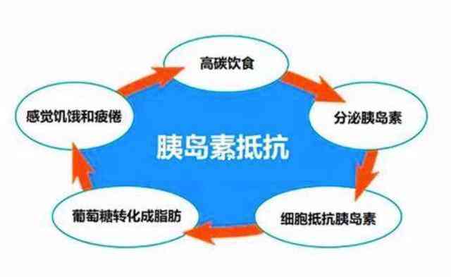 普洱茶对胰岛素抵抗的影响：血糖、功效与胰岛的探究