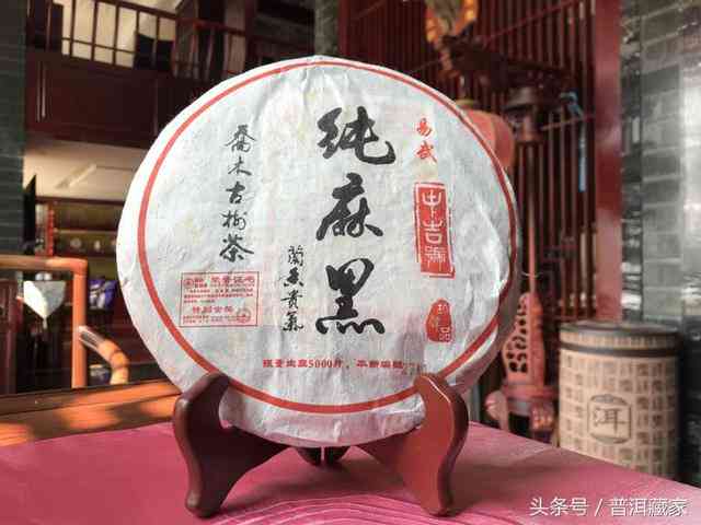 麻黑普洱茶口感特点与魅力：品鉴这款独特风味的完美指南