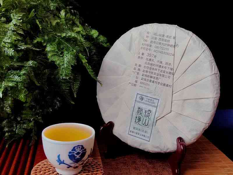 2023年易武荒山普洱茶