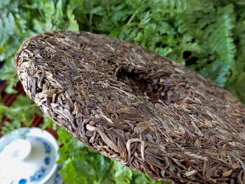 2023年易武荒山普洱茶