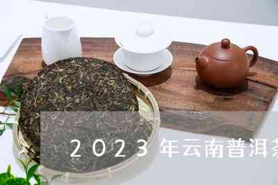 2023年的普洱茶多少钱