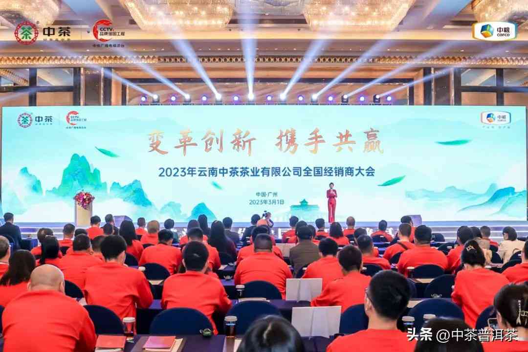 2023年的普洱茶多少钱