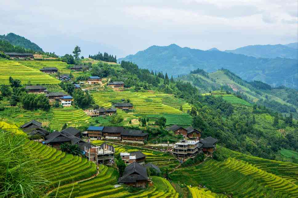 精选云南产地dbs云海东半山357g生茶：独特风味与高品质的普洱茶体验