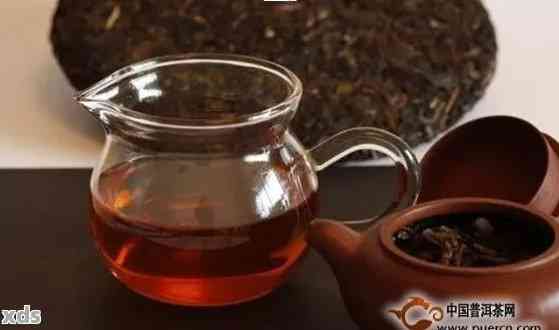 一天喝3000毫升普洱茶：合适与可能的影响