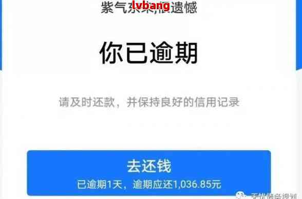 网商贷逾期一个小时还款就会被停止使用吗？真实情况揭秘！