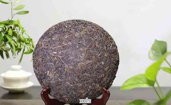 古韵普洱茶(生茶)价格及紧压茶、熟茶的区别解析