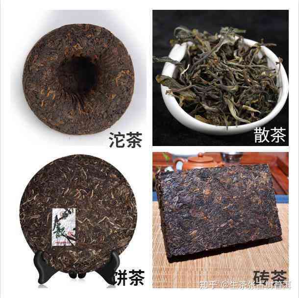 广东度高普洱茶干仓存