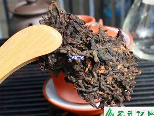 长条普洱茶的独特魅力与品鉴解析