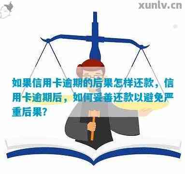 信用卡逾期还款8小时后可能产生的后果及解决方法，全面解答用户疑虑