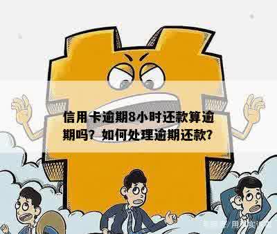 信用卡逾期8小时还款有影响吗？怎么办？