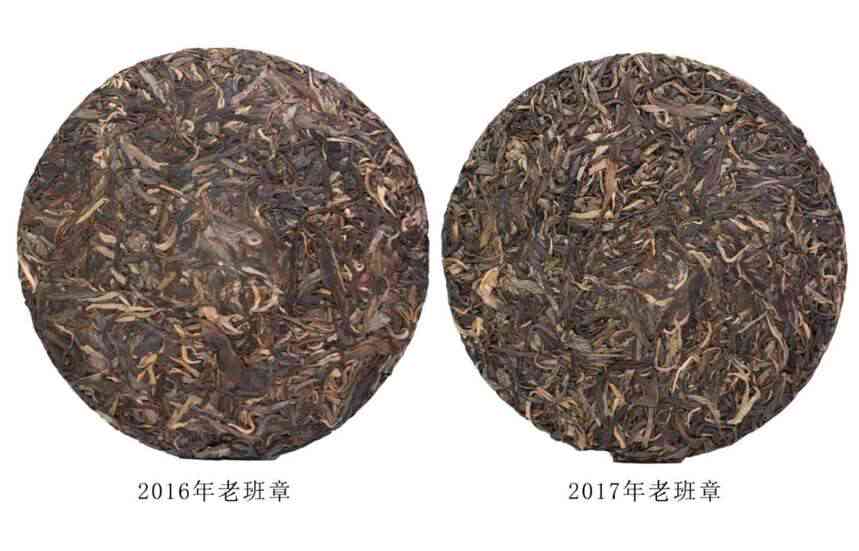 老班章与紫芽：普洱茶中的贵族与珍品对比