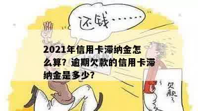 信用卡逾期滞纳金什么