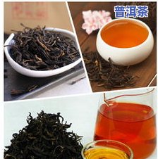 普洱茶中的糯米香与茶化石特性：一款独特口感的茶叶解析