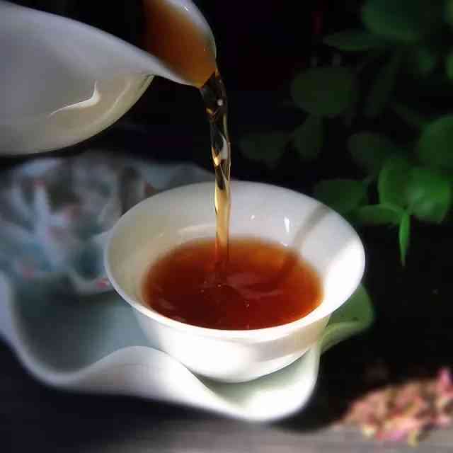 宜茗普洱茶