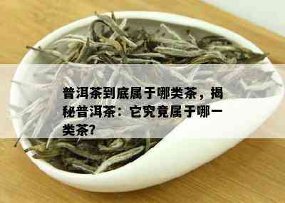 广东保存普洱茶要怎么保存