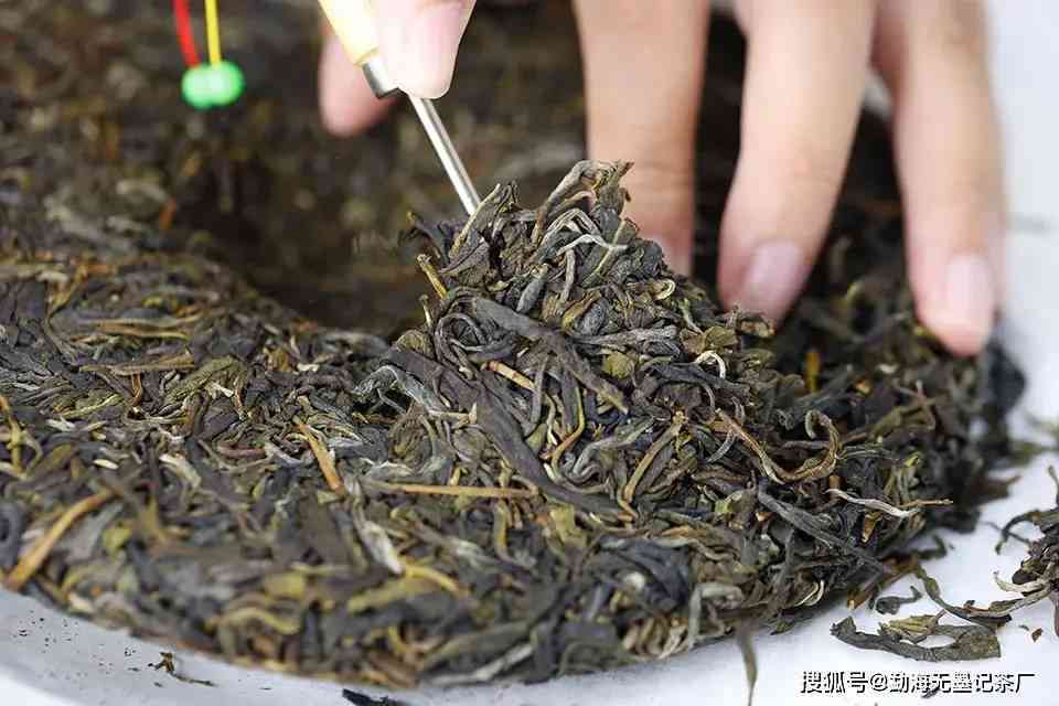 雨天后普洱茶的妥善处理：怎样挽救淋湿的茶叶？