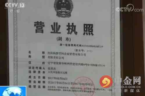 网贷分期没还完能办出国签证吗