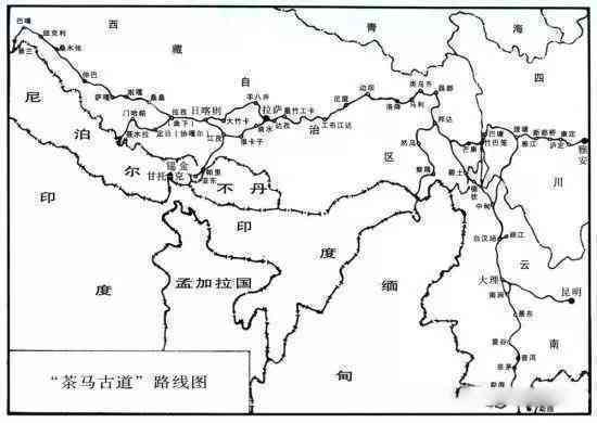 云南普洱茶山步探险之旅：穿越茶马古道的未知路线