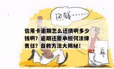 自救指南：如何在信用卡逾期情况下成功偿还债务并避免法律问题