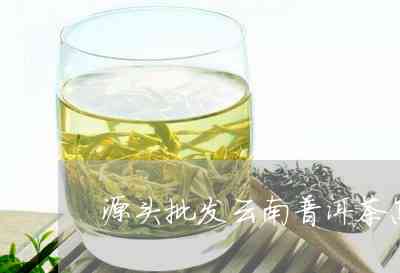 源头普洱茶