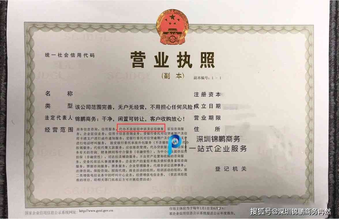 信用卡逾期被执行可以办理营业执照吗怎么办？