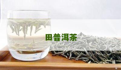 苦田普洱茶