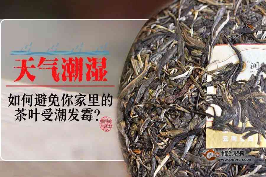 从入门到精通：全面了解普洱茶系统，探索茶文化与品茗技巧