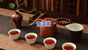 易普洱茶：普号普洱茶价格，了解品质与价位