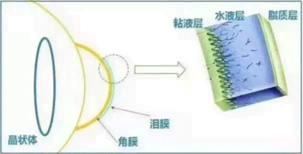 如何充分利用偏光镜优势进行拍照：技巧、应用与推荐设备