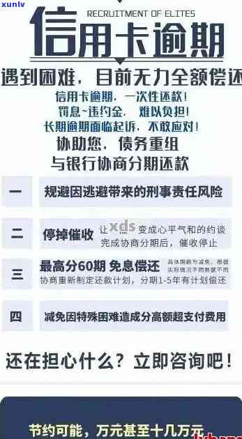 招行信用卡逾期记录查询全指南：如何查看、处理及避免逾期产生的影响