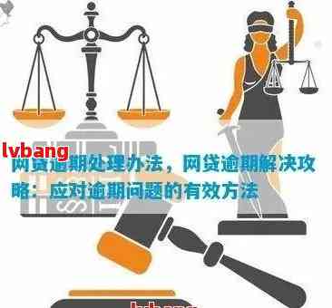 法务如何处理网贷逾期问题：案例、方法与可行性分析