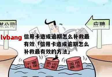 逾期后如何补救？申请信用卡需要注意什么？