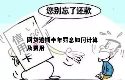 网贷逾期还款困局：没钱怎么办？