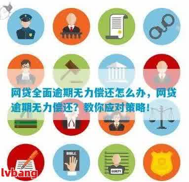 全面指南：网贷逾期无力偿还？这里有解决方案！