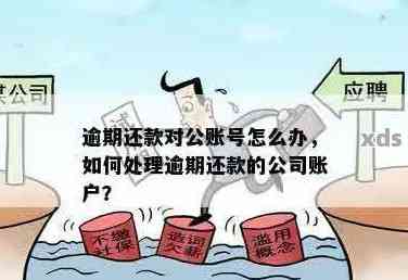 对公账户逾期：影响、时间、罚款与解决办法