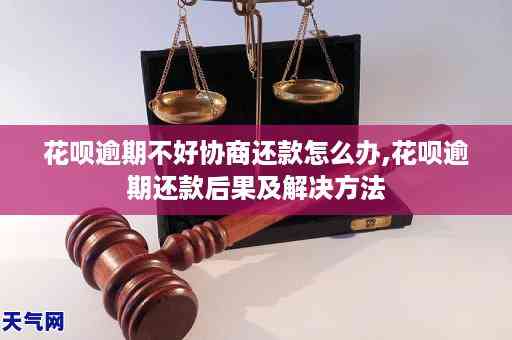 转转用户借钱功能逾期还款后果：如何应对？