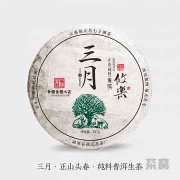 臻字号普洱茶官网价格查询