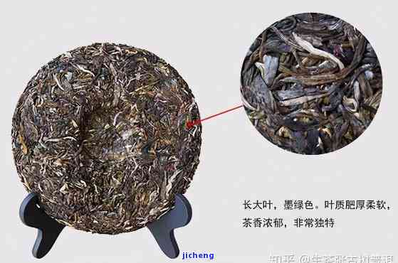 普洱茶421:一款全面了解、品鉴与收藏的茶叶指南