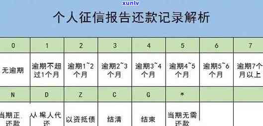 逾期后如何查看个人报告中的贷款记录与解决方法