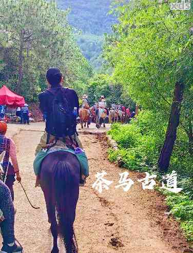 普洱茶马古道全貌及门票价格一览