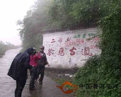 普洱茶古道