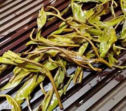 普洱茶茶梗：用途、原因与冲泡方法的全面解析