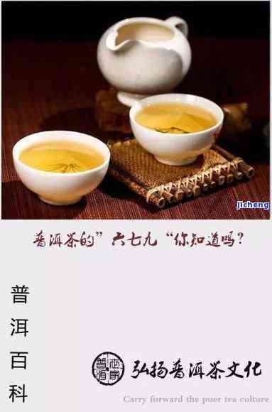 普洱茶9979和9978的含义与正确品饮方式