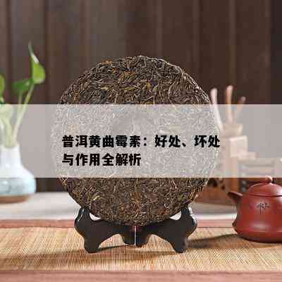 素沁普洱茶